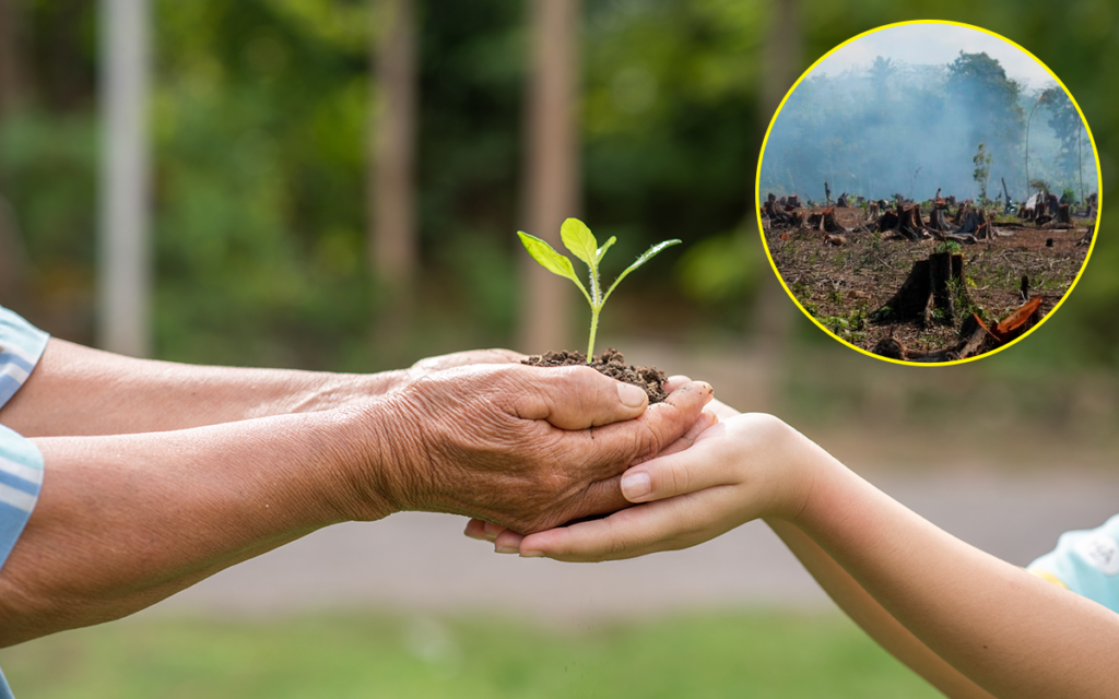 Día Mundial del Medio Ambiente.