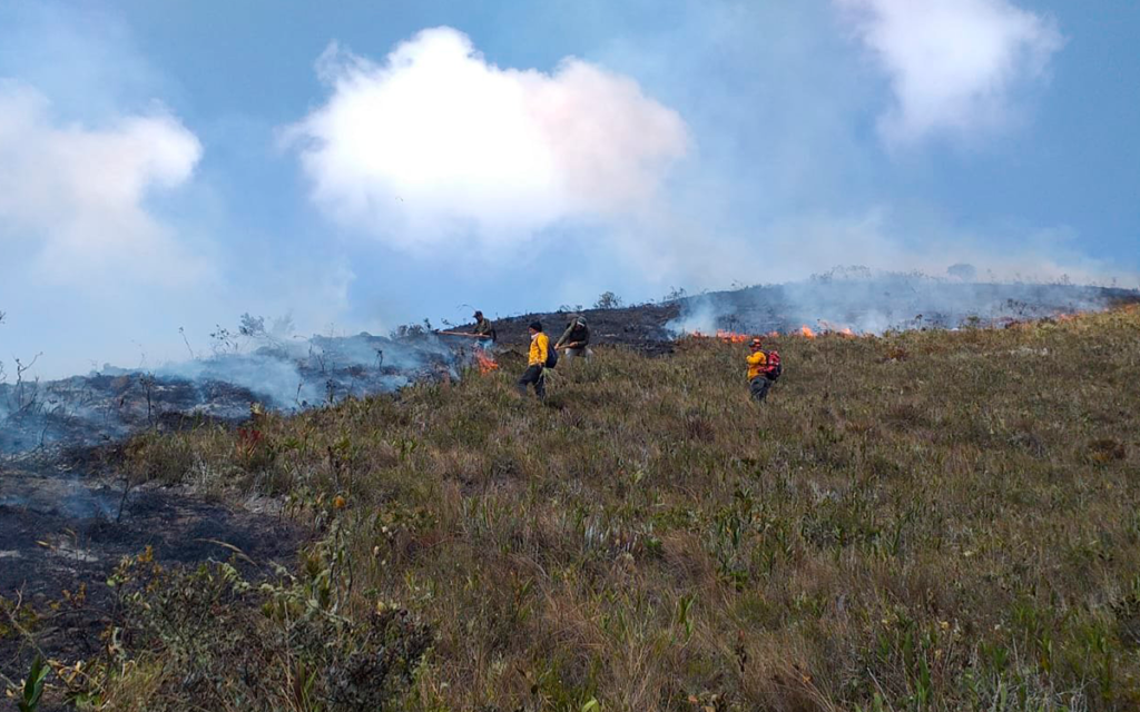 Incendios forestales 