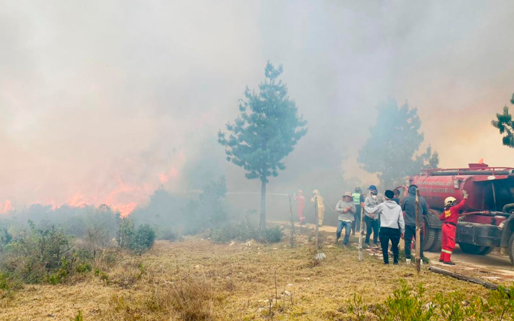 Incendios forestales