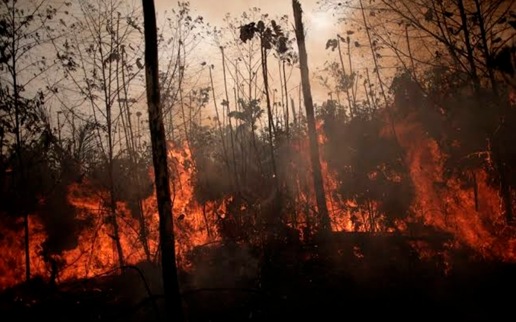 incendios forestales