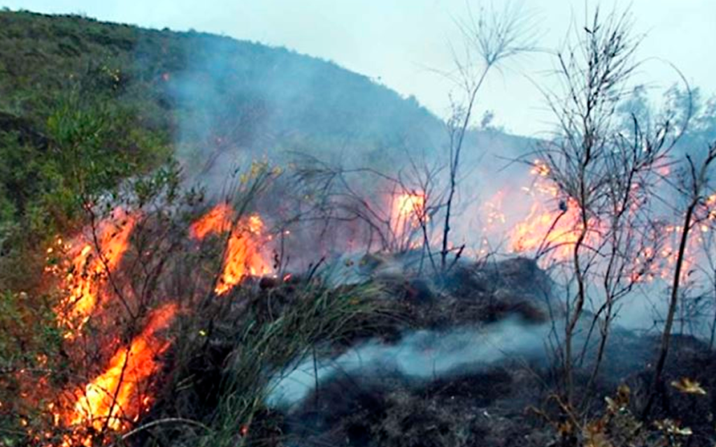 incendios forestales